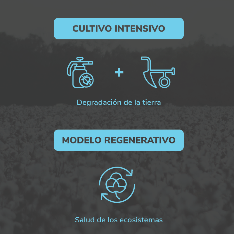 Cultivo intensivo vs Modelo regenerativo